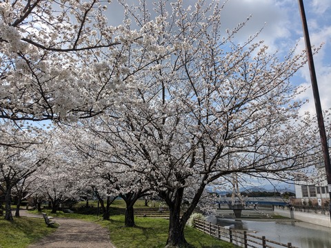 PXL_20250403_003131093