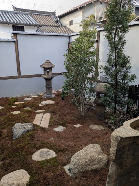 PXL_20250131_053252195