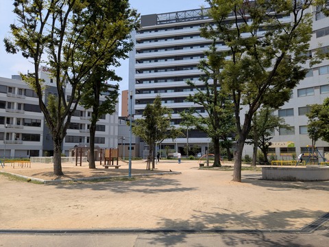 PXL_20250701_033921106