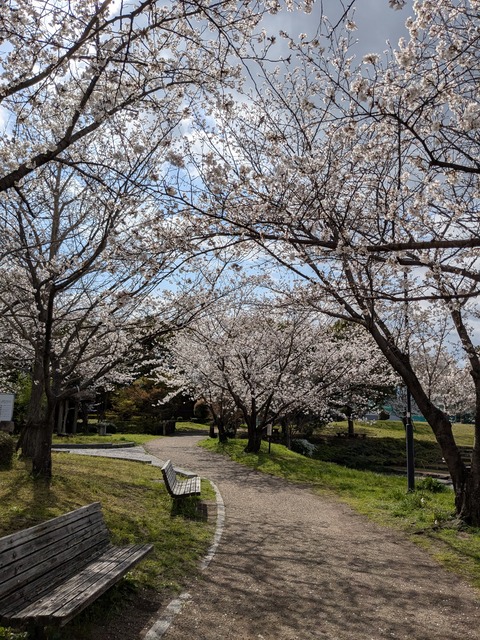 PXL_20250403_003200055