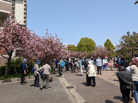 PXL_20230411_033147451