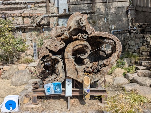 PXL_20250225_022031976