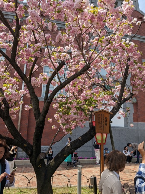 PXL_20230411_034716466