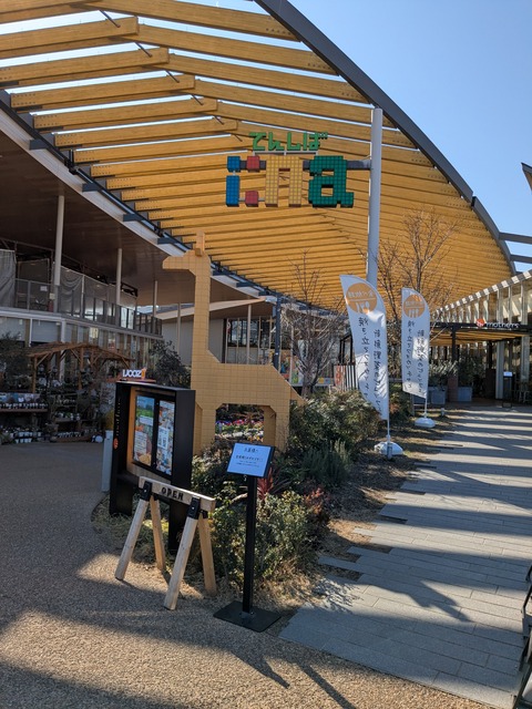 PXL_20250225_052047627