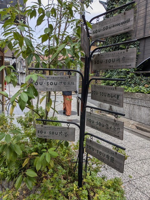 PXL_20241015_022051589