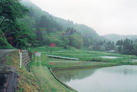 img20240811_14023491_0001