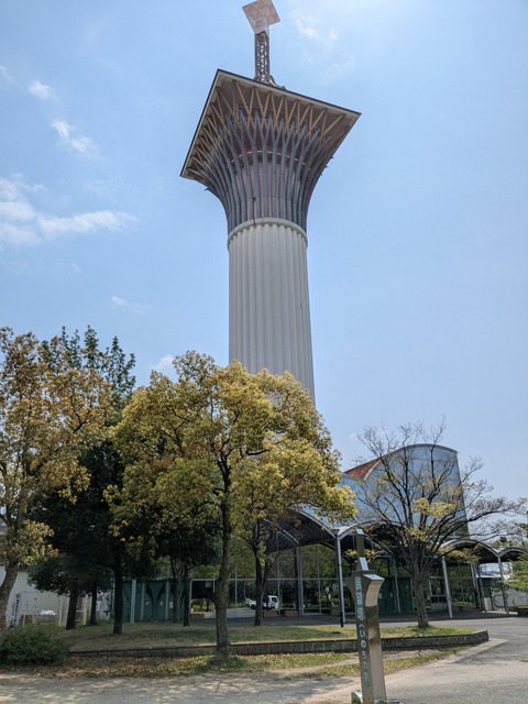 PXL_20250416_041529583