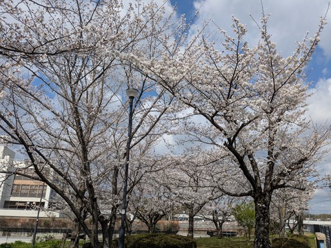 PXL_20250403_003716111