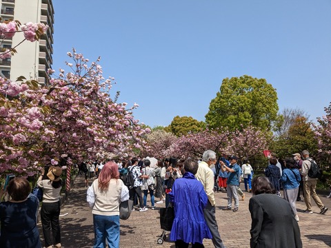 PXL_20230411_033243638