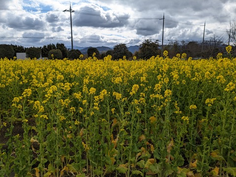 PXL_20240216_013231328