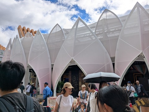 PXL_20251013_021622964.MP