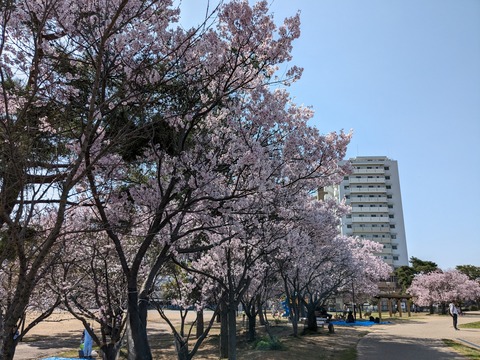 PXL_20240401_010119366