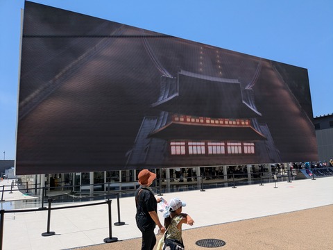 PXL_20250728_023137634.MP