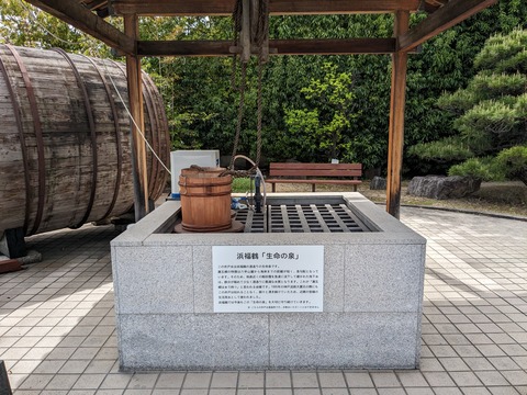 PXL_20240416_035404174