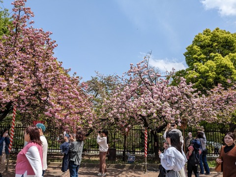 PXL_20230411_034313701