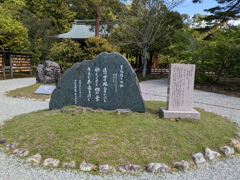 PXL_20230502_002655488