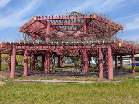 PXL_20260317_062403861