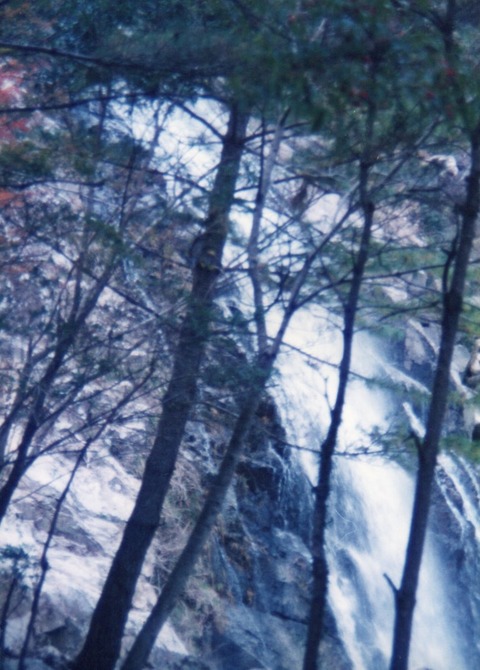 img20231016_14584460_0001