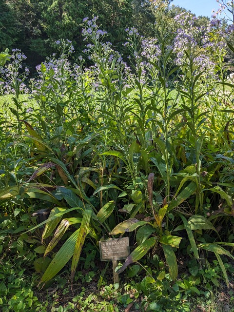 PXL_20230925_004857450