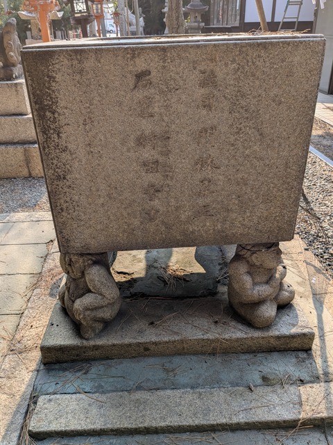 PXL_20250131_012246552