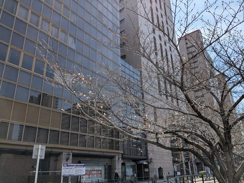 PXL_20260327_025632471