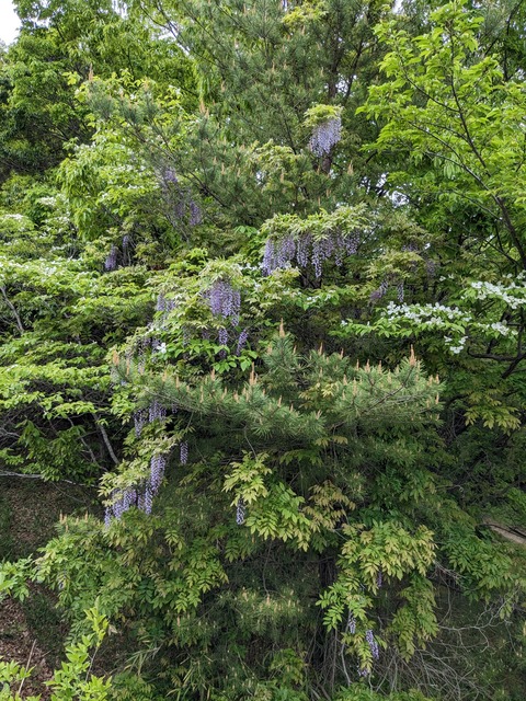 PXL_20230424_003827684