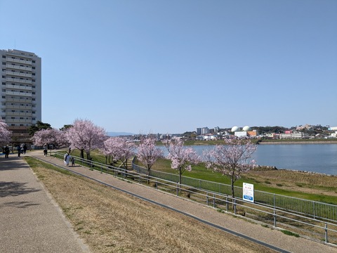 PXL_20240401_010049611