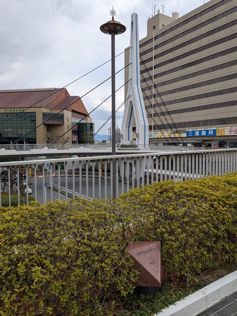 PXL_20250218_041936969