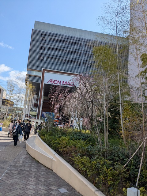 PXL_20250404_045931631