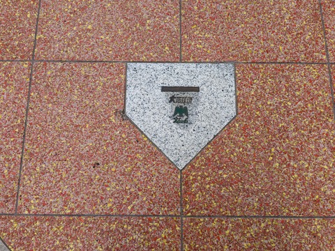 PXL_20230214_000111262