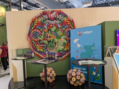 PXL_20251013_005054618.MP