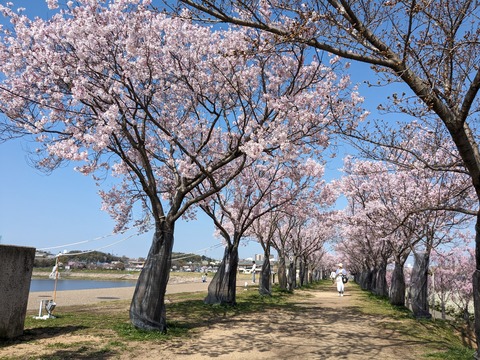 PXL_20240401_004113345