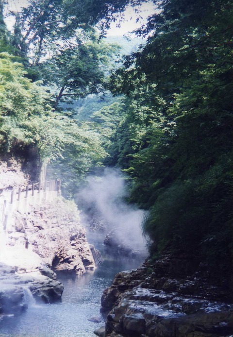 img781