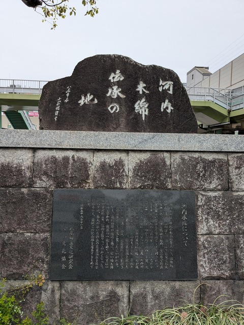 PXL_20260407_045514329