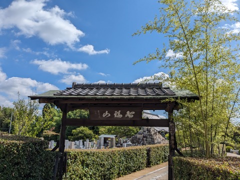 PXL_20230725_002543871