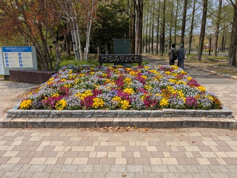 PXL_20250416_041028004