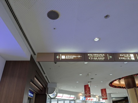 PXL_20241112_042927062