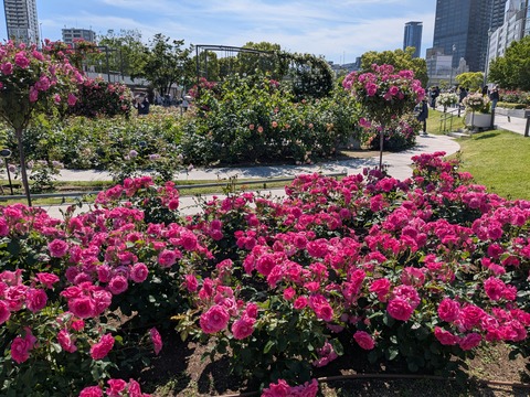 PXL_20260505_000548064