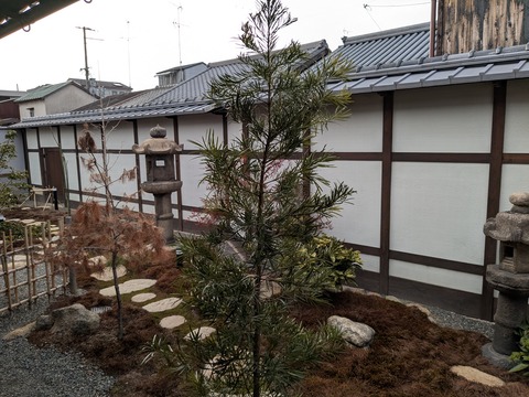 PXL_20250131_053004427