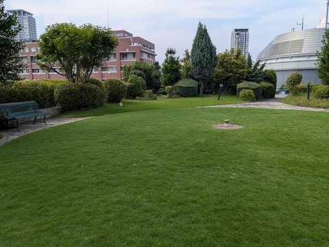 PXL_20250701_065016256