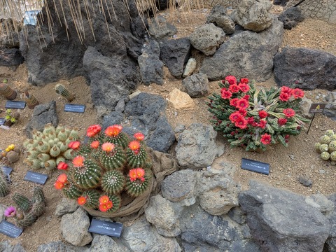 PXL_20250416_050943367