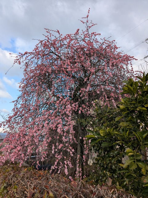 PXL_20250306_232727155