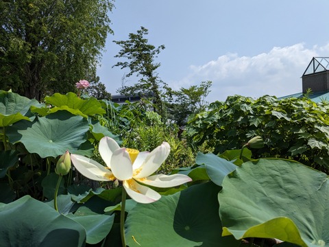 PXL_20230706_003745240