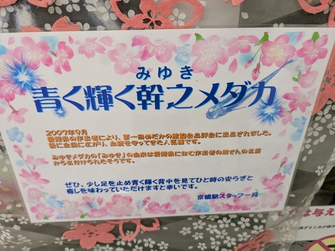 PXL_20250308_024041649