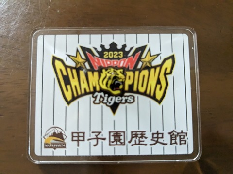 PXL_20231207_044857859