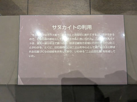 PXL_20260407_034433289