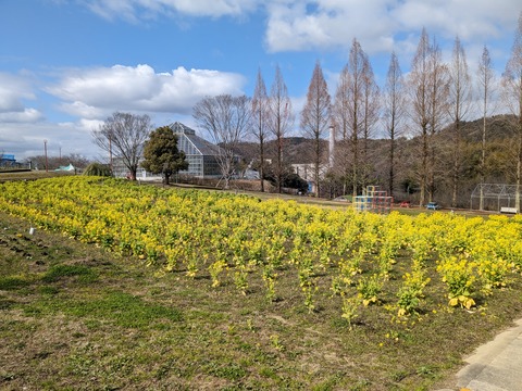 PXL_20240307_010617929