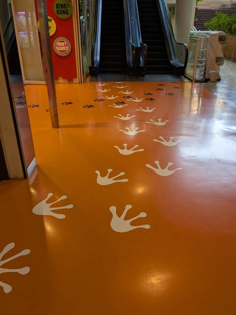 PXL_20250627_043718566