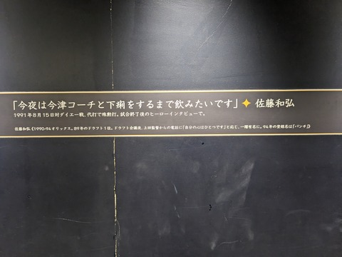 PXL_20230905_054453651