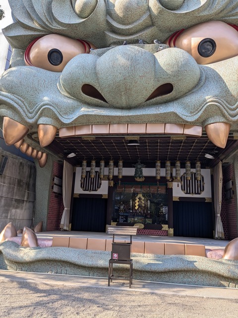 PXL_20241217_011158321